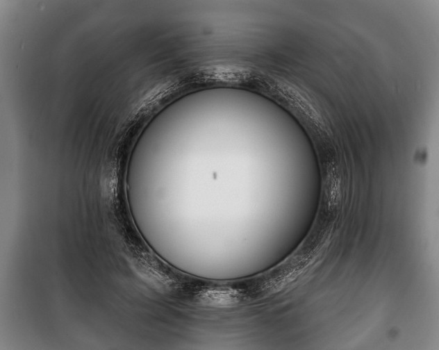 X0000100840595200806271114