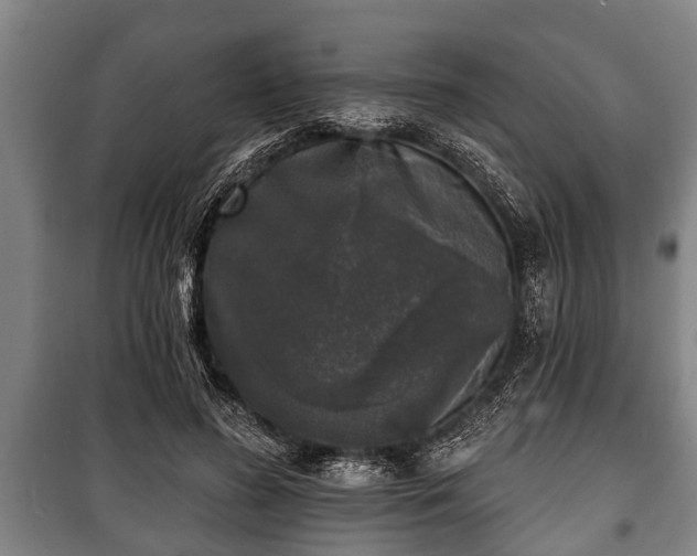 X0000100840596200806271114