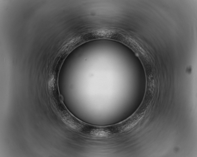 X0000100840597200806271114