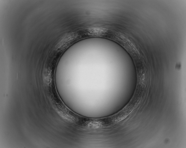 X0000100840599200806271114