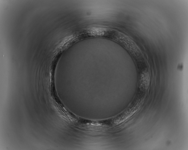 X0000100840600200806271114