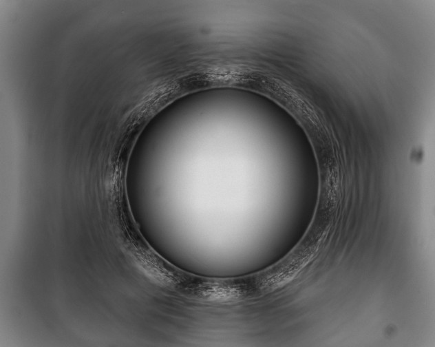 X0000100840601200806271114