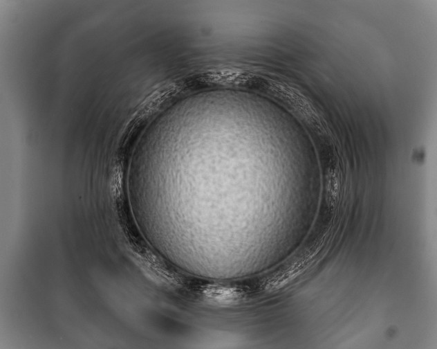 X0000100840602200806271114