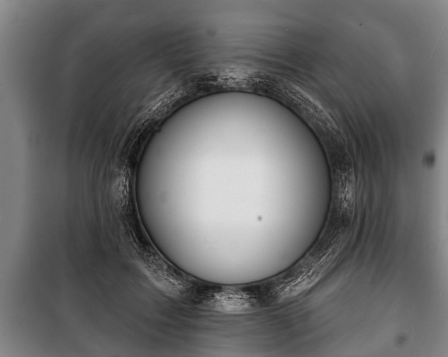 X0000100840603200806271114