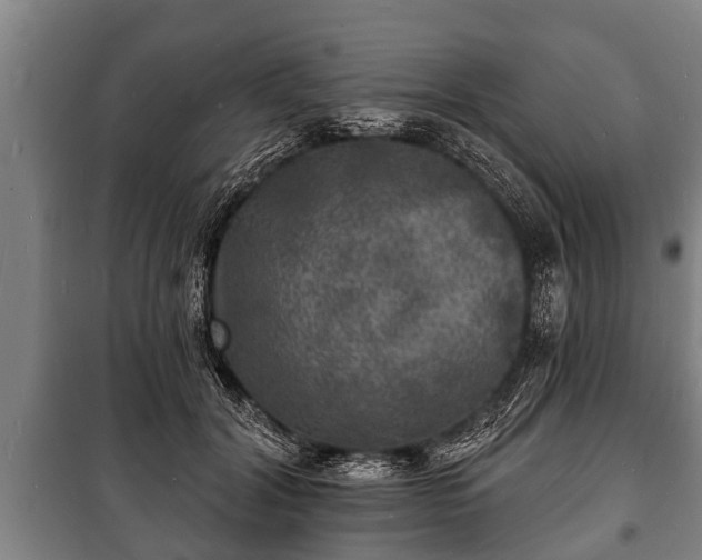 X0000100840604200806271114