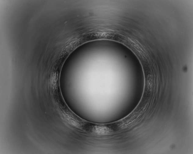 X0000100840605200806271114