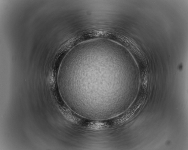 X0000100840607200806271114