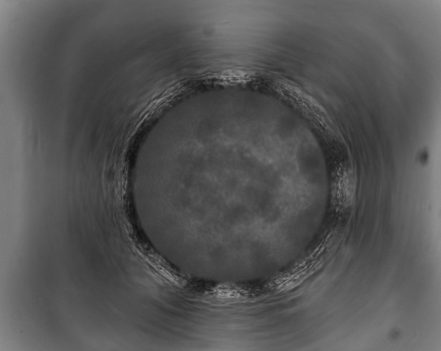 X0000100840608200806271114