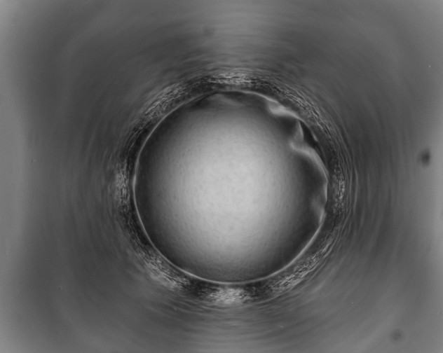 X0000100840609200806271114