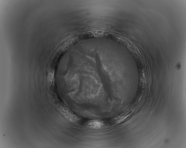 X0000100840610200806271114