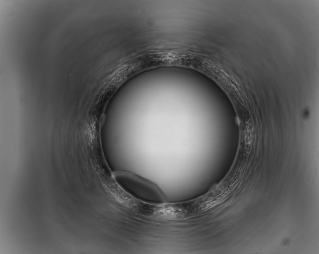 X0000100840611200806271114