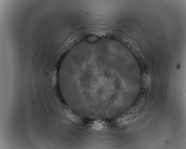 X0000100840612200806271114