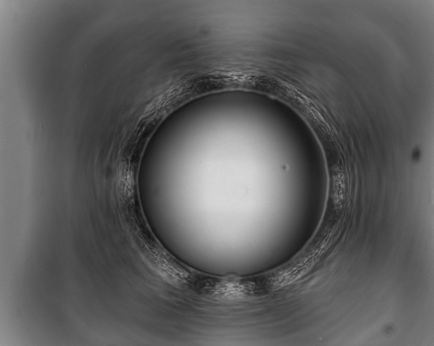 X0000100840613200806271114