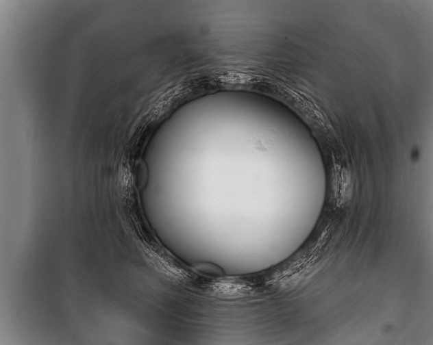 X0000100840614200806271114