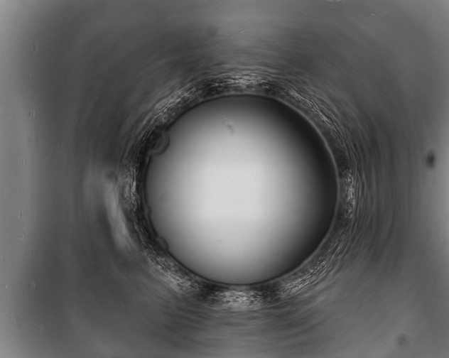 X0000100840615200806271114