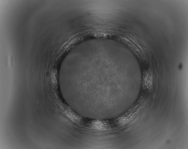 X0000100840616200806271114