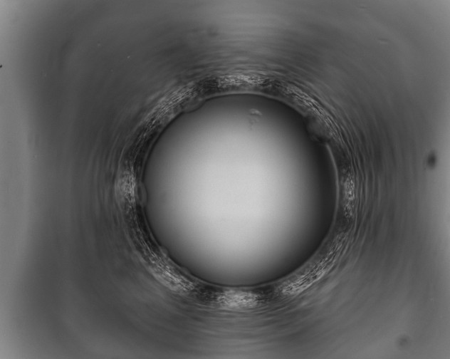 X0000100840617200806271114