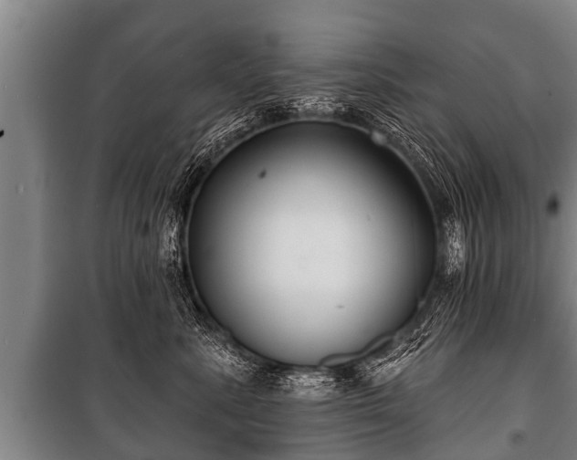 X0000100840619200806271114