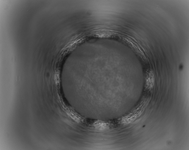 X0000100840620200806271114