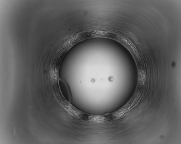 X0000100840621200806271114