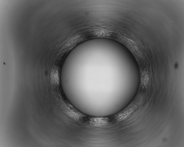 X0000100840622200806271114