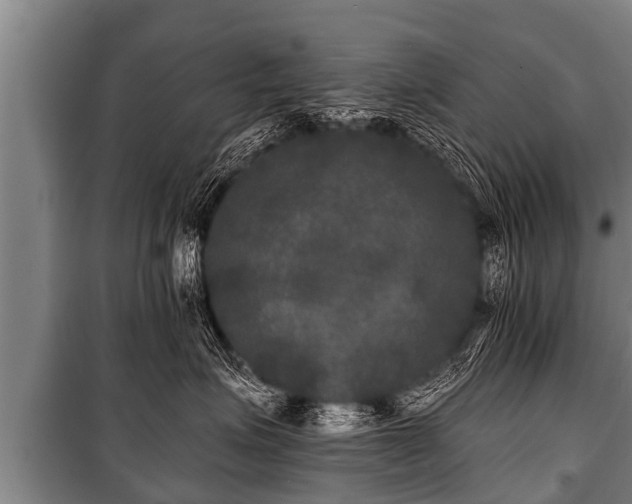 X0000100840623200806271114