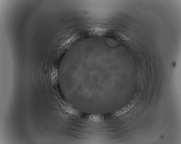 X0000100840624200806271114