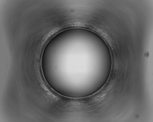 X0000100840625200806271113