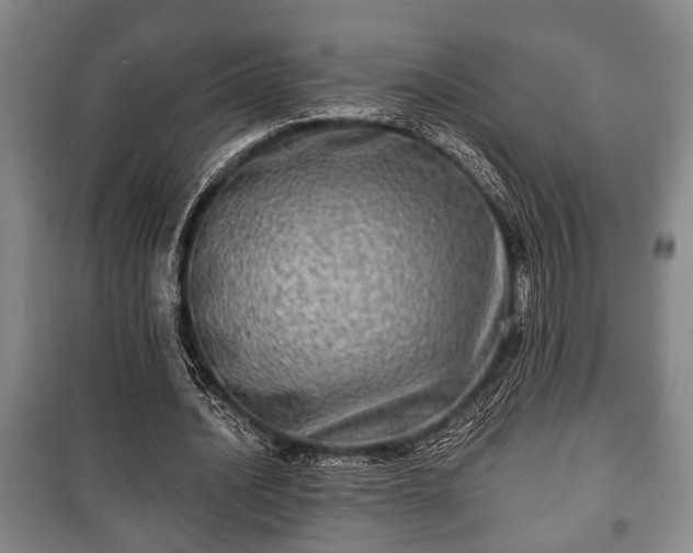 X0000100840628200806271113