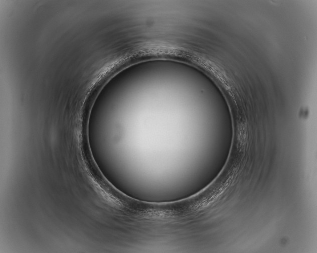 X0000100840629200806271113