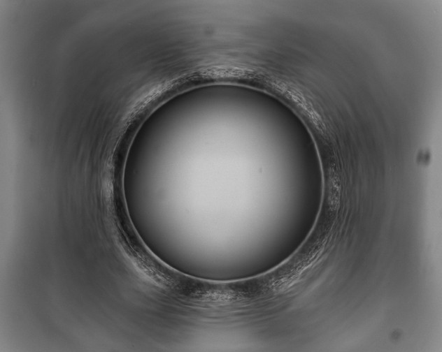 X0000100840631200806271113