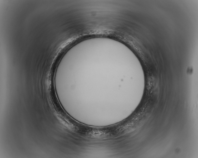 X0000100840632200806271113