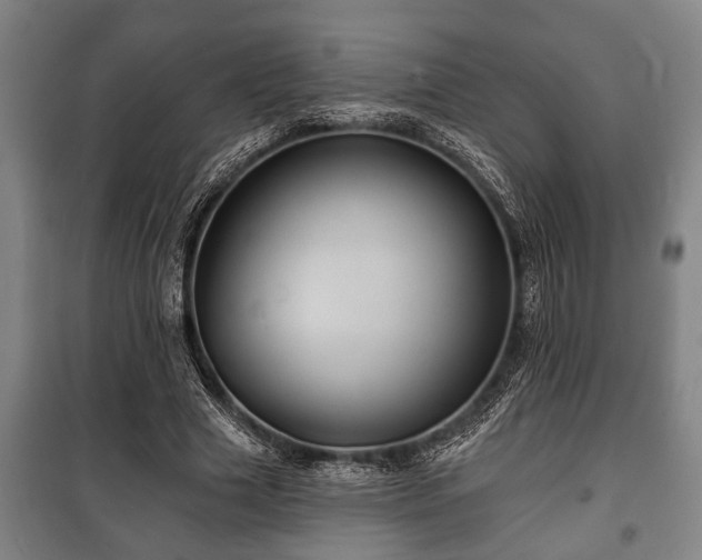 X0000100840633200806271113