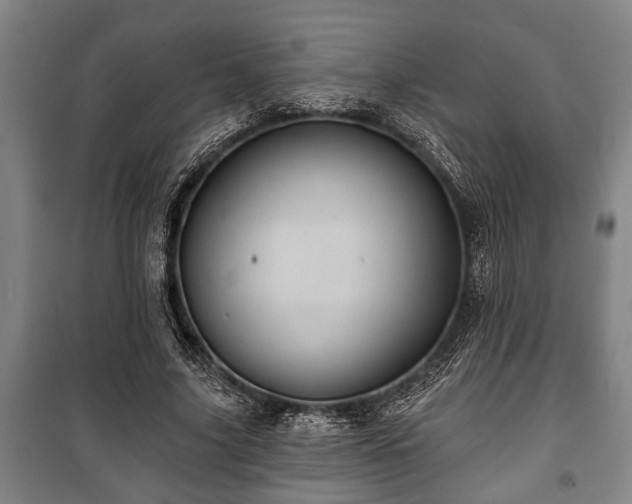 X0000100840635200806271113