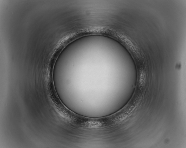 X0000100840636200806271113