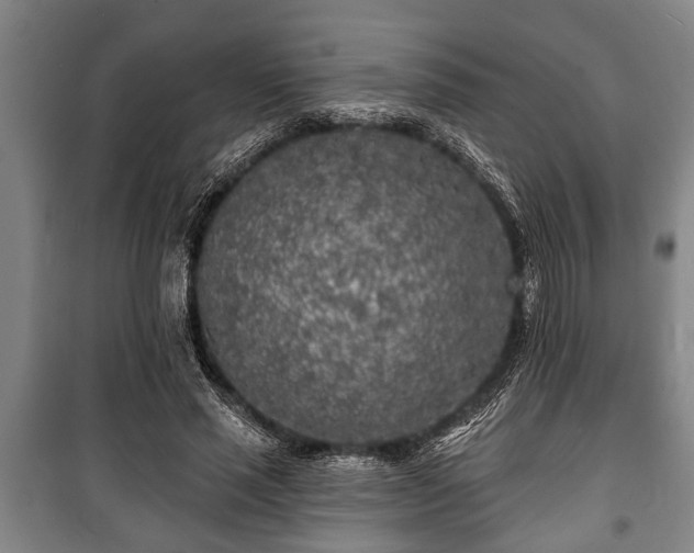 X0000100840637200806271113