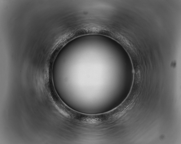 X0000100840638200806271113