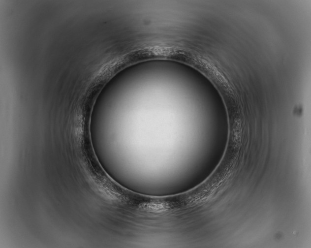 X0000100840639200806271113