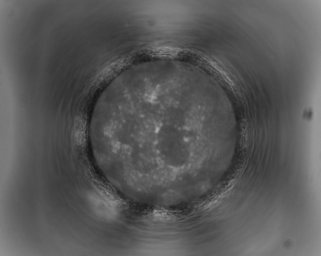 X0000100840641200806271113