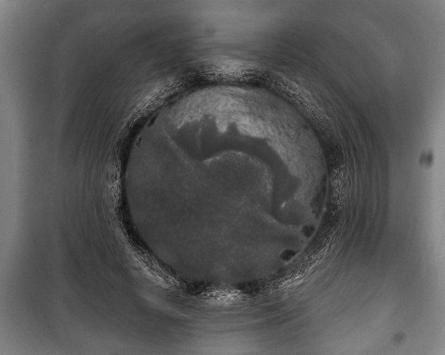 X0000100840642200806271113