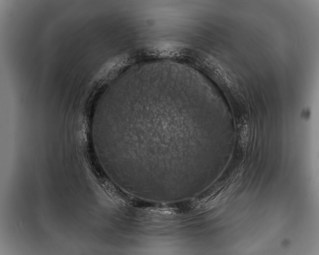 X0000100840643200806271113