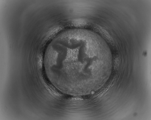 X0000100840644200806271113