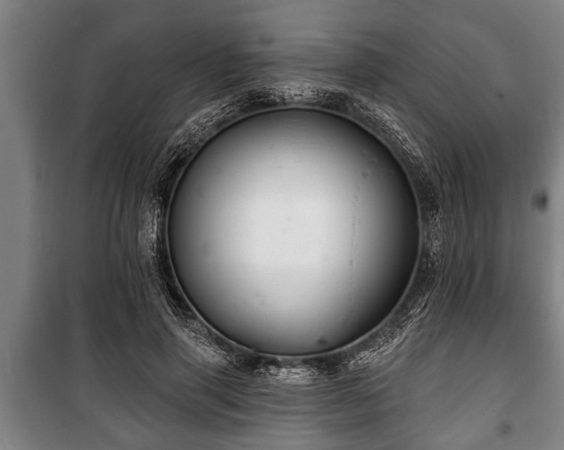 X0000100840645200806271113