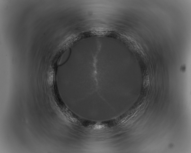 X0000100840647200806271113