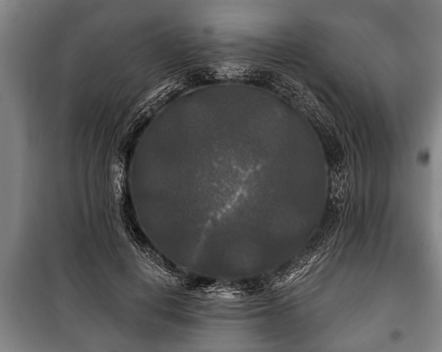 X0000100840648200806271113