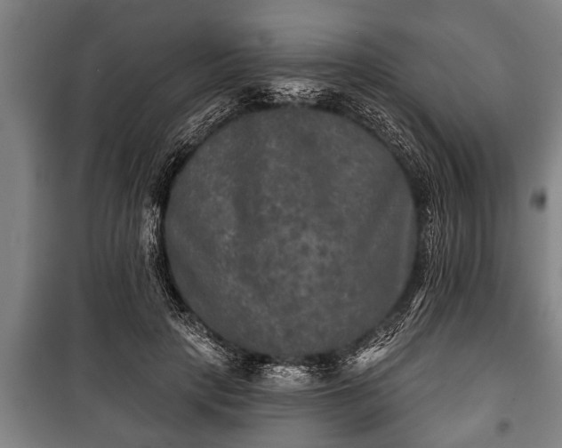 X0000100840649200806271113