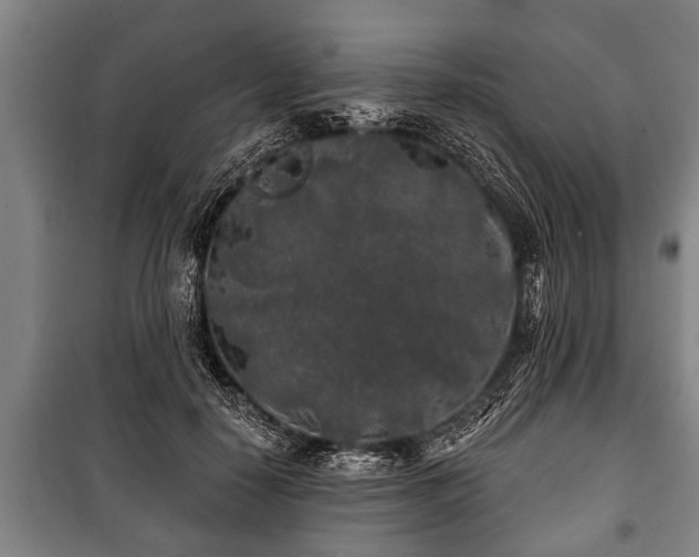 X0000100840650200806271113