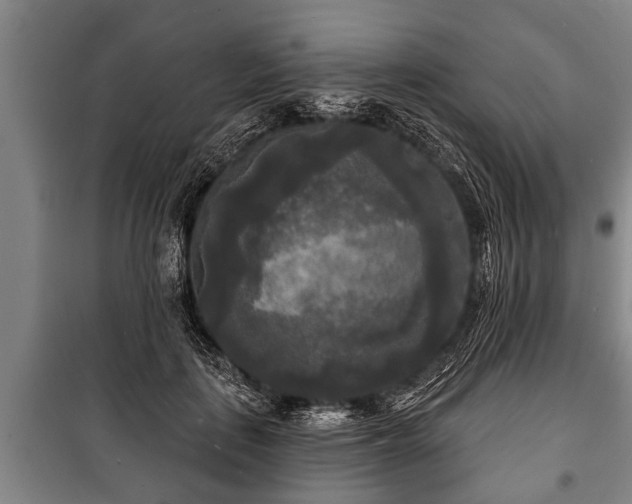 X0000100840651200806271113