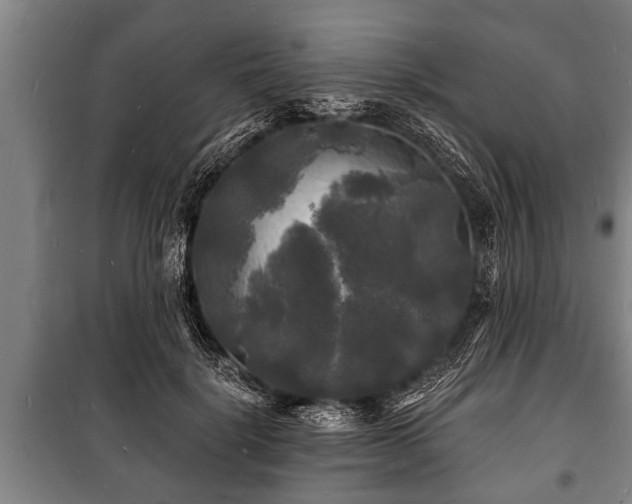 X0000100840652200806271113