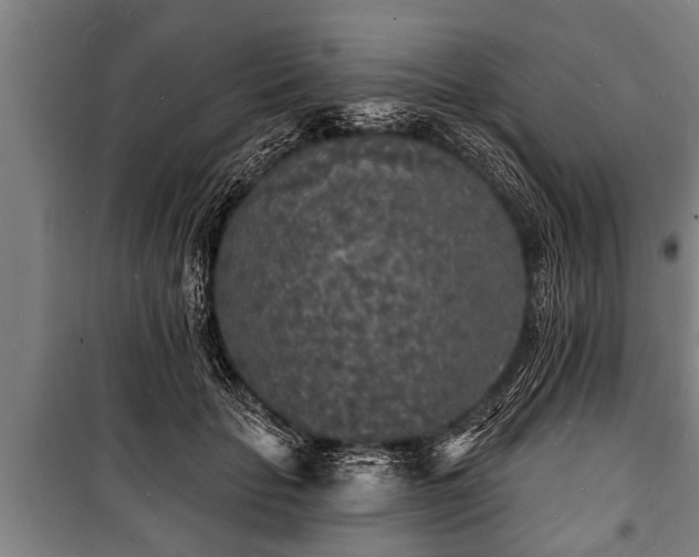 X0000100840653200806271113